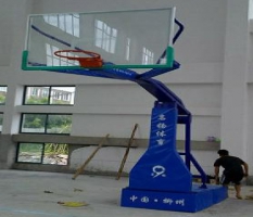 篮球架厂家成冠体育