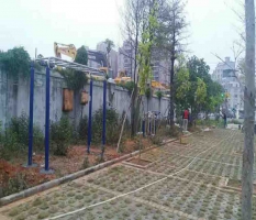 健身器材厂家成冠体育