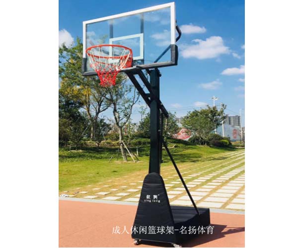 休闲篮球架生产厂家成冠体育